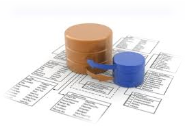 data_management1
