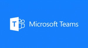 micrcosoft-team-experience
